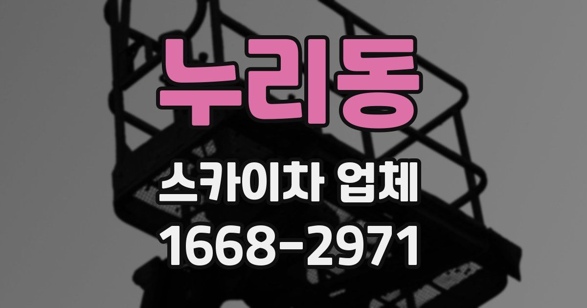 누리동 스카이차 업체