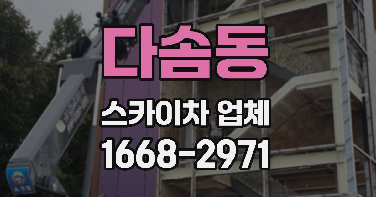 다솜동 스카이차 업체