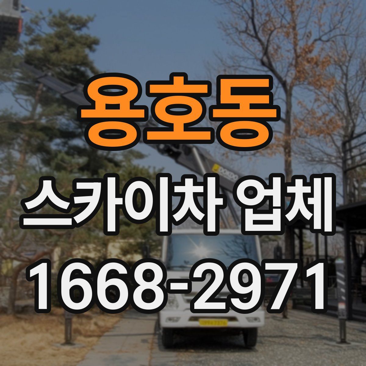 용호동 스카이차 업체