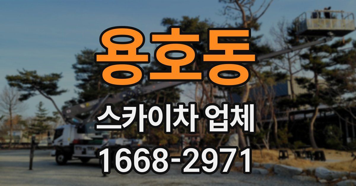 용호동 스카이차 업체