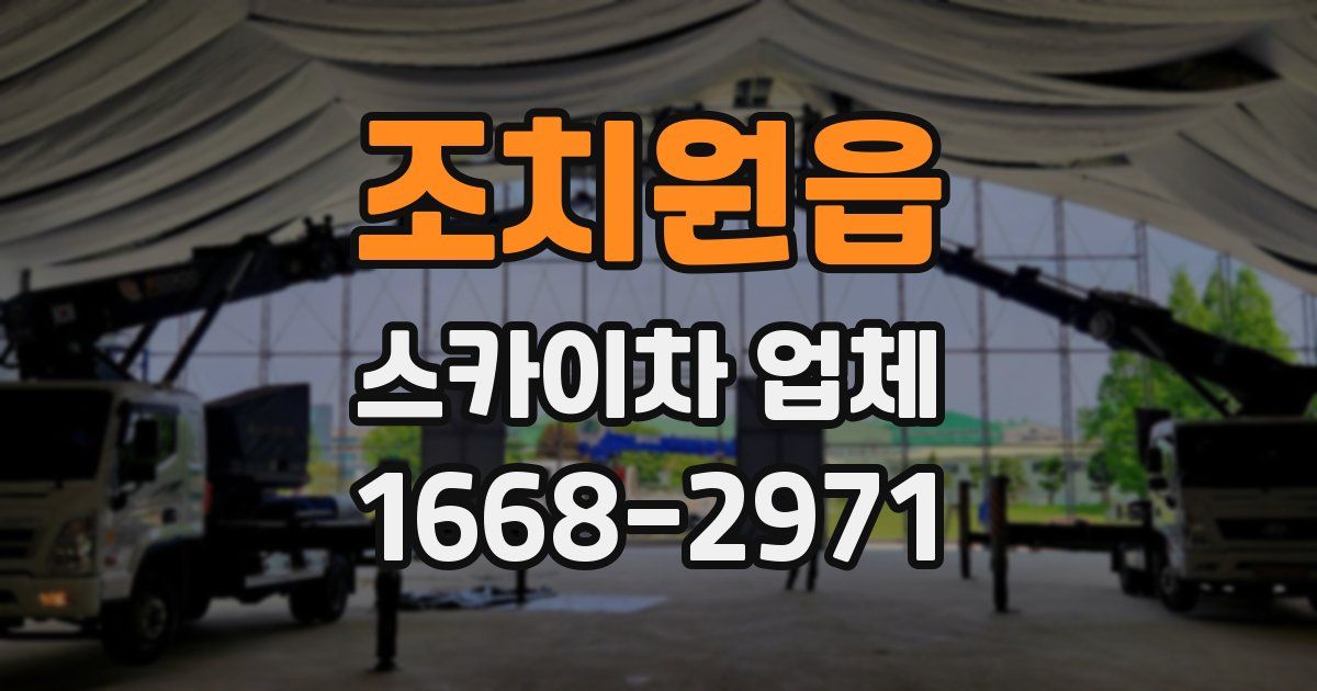 조치원읍 스카이차 업체