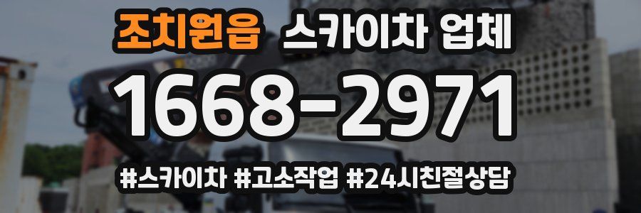 조치원읍 스카이차 업체