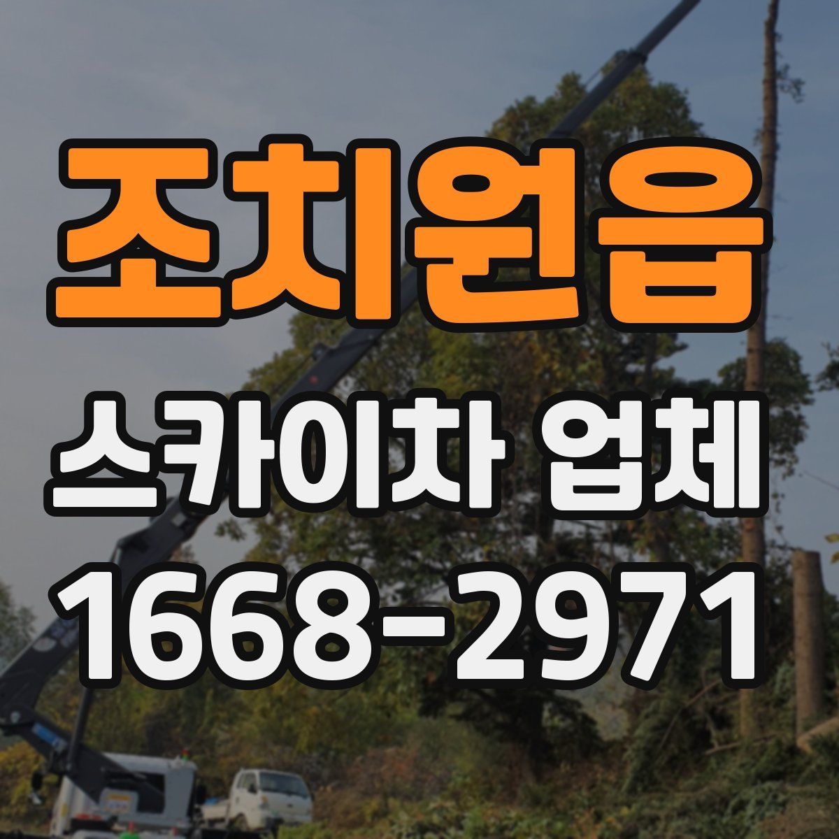 조치원읍 스카이차 업체