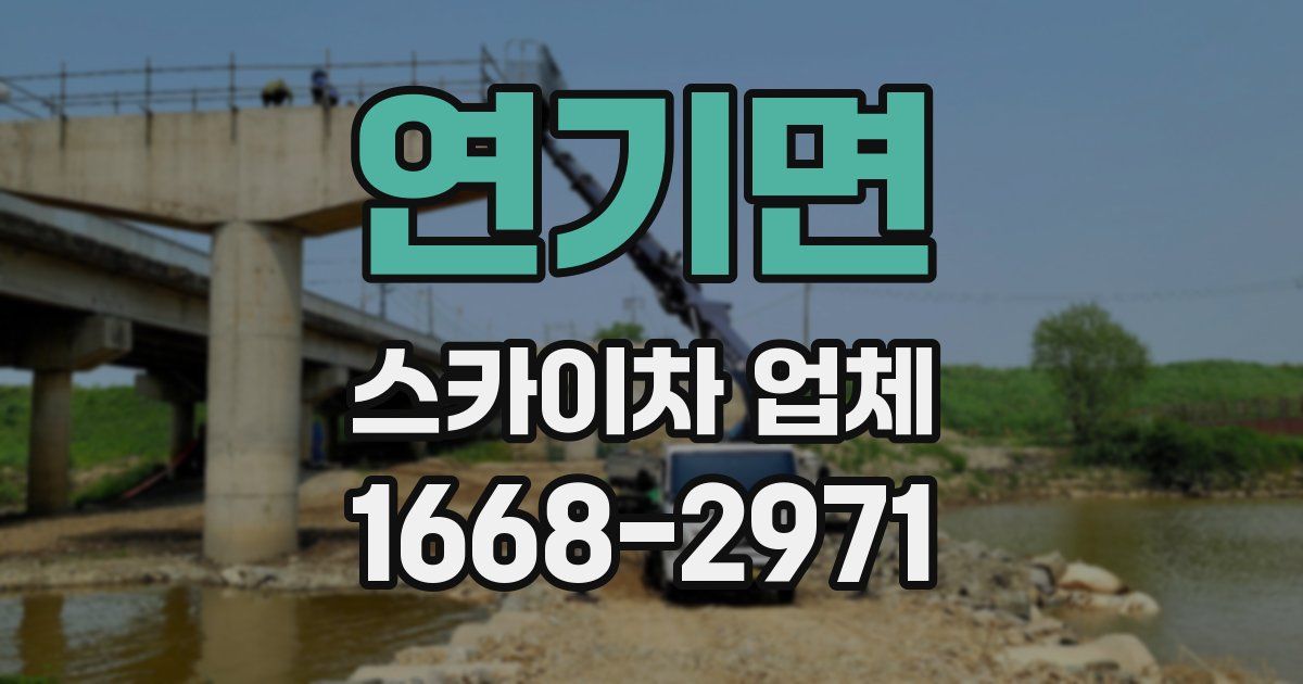 연기면 스카이차 업체