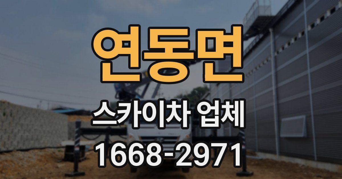 연동면 스카이차 업체