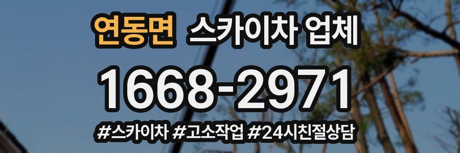 연동면 스카이차 업체