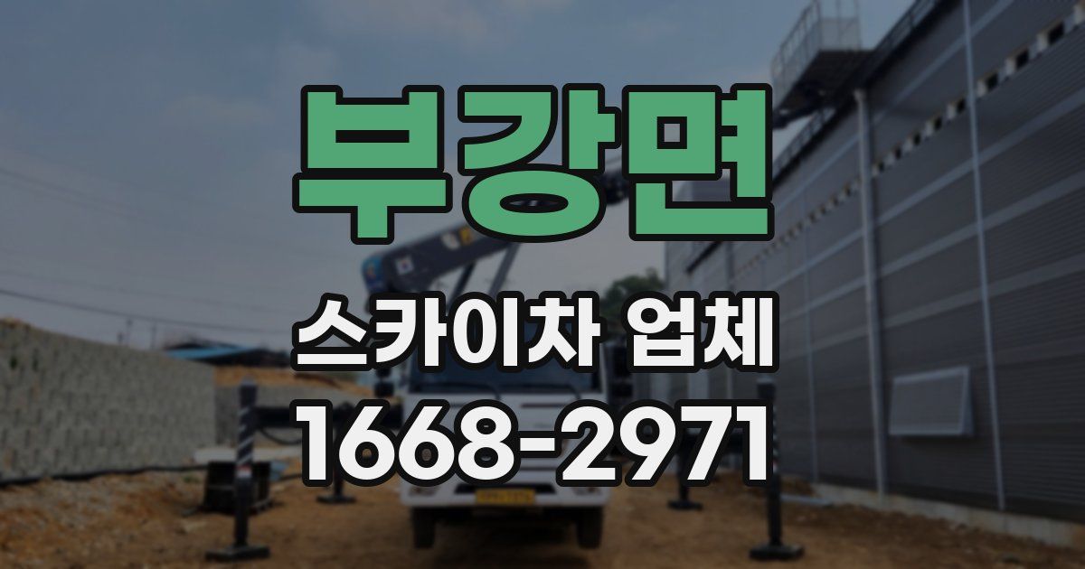 부강면 스카이차 업체