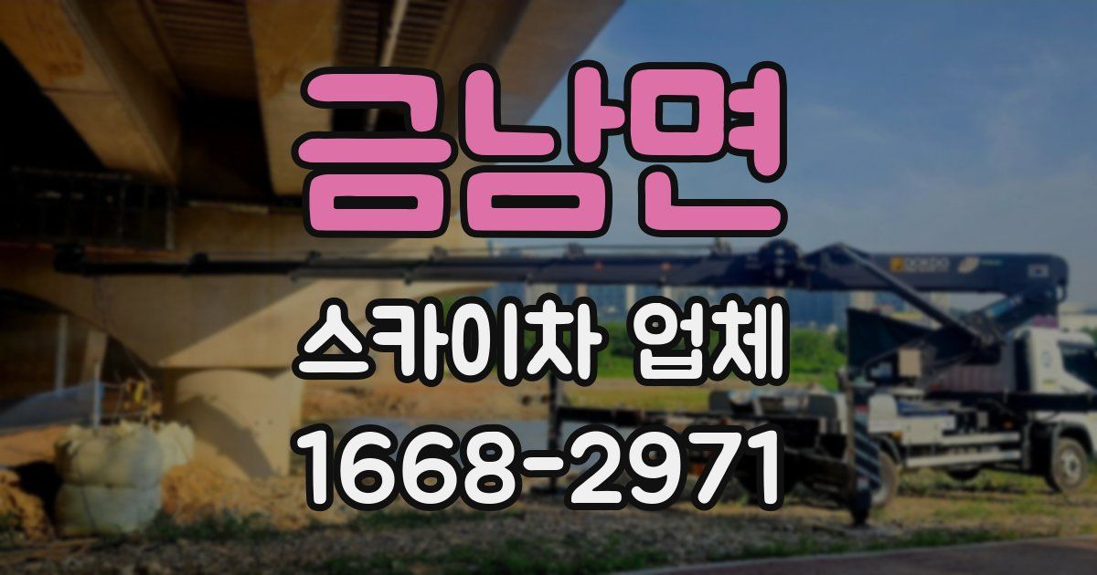 금남면 스카이차 업체