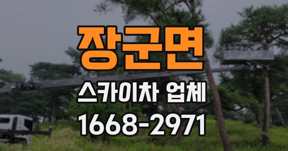 장군면 스카이차 업체