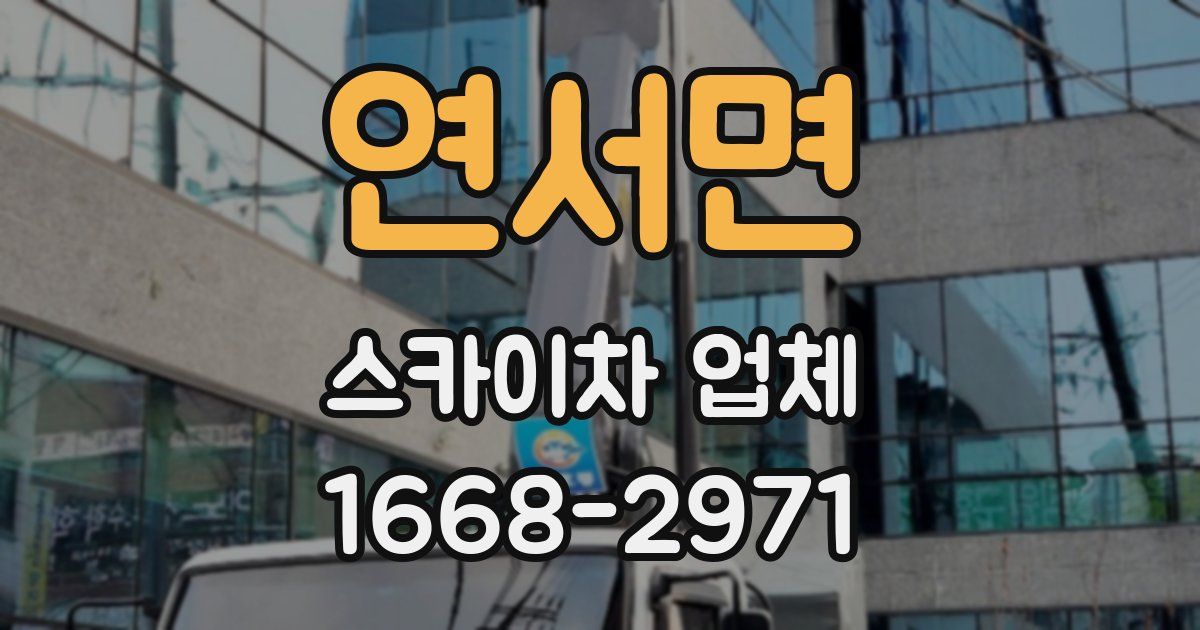 연서면 스카이차 업체