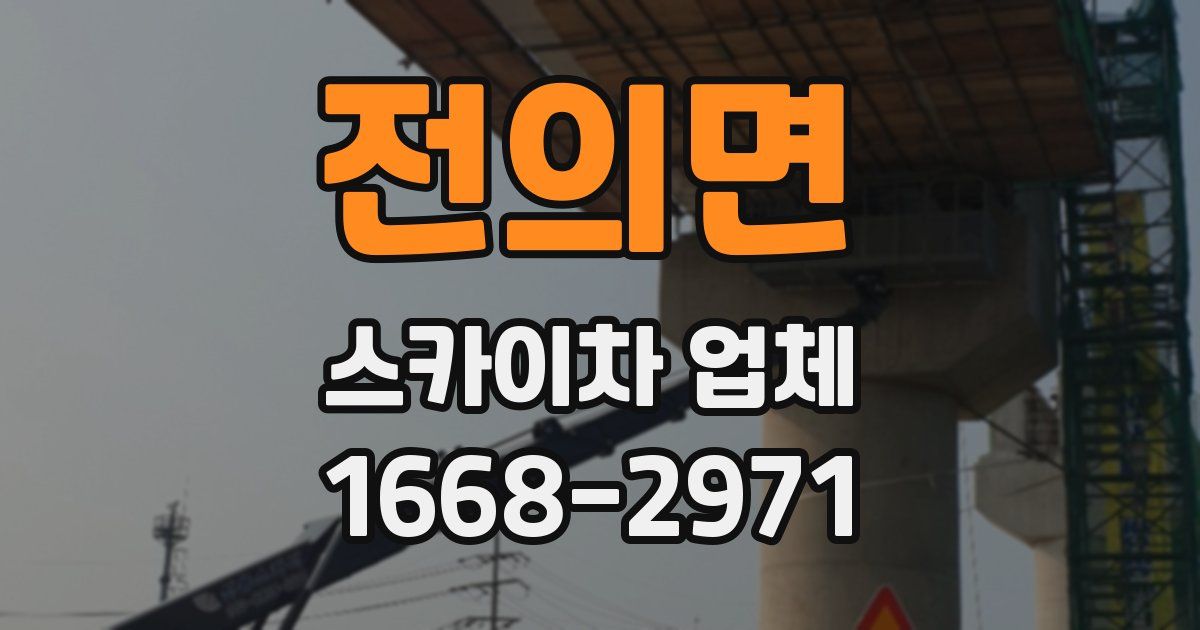 전의면 스카이차 업체