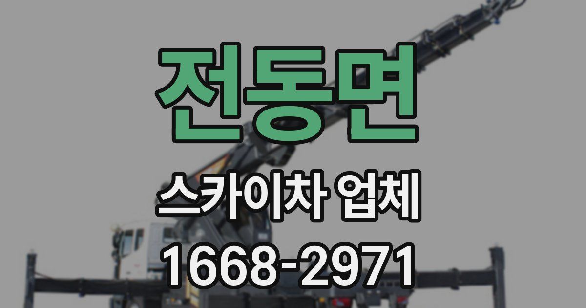 전동면 스카이차 업체