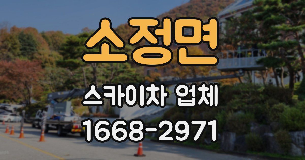 소정면 스카이차 업체