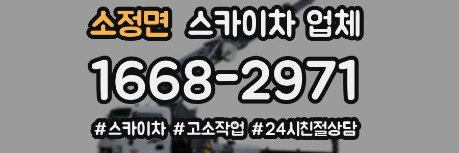 소정면 스카이차 업체