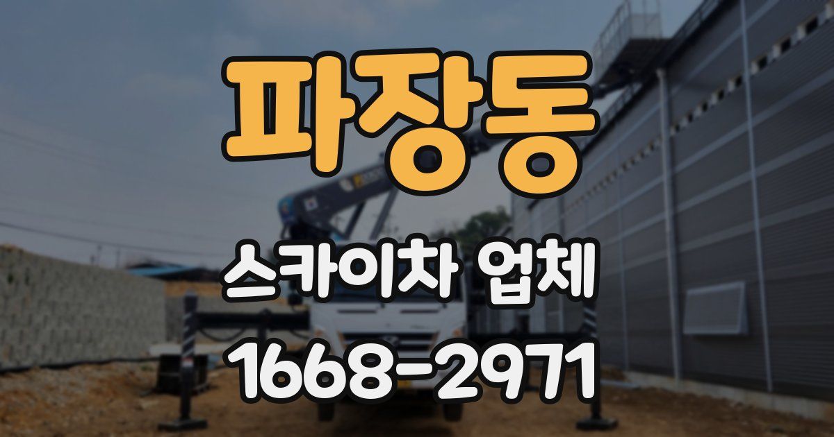 파장동 스카이차 업체