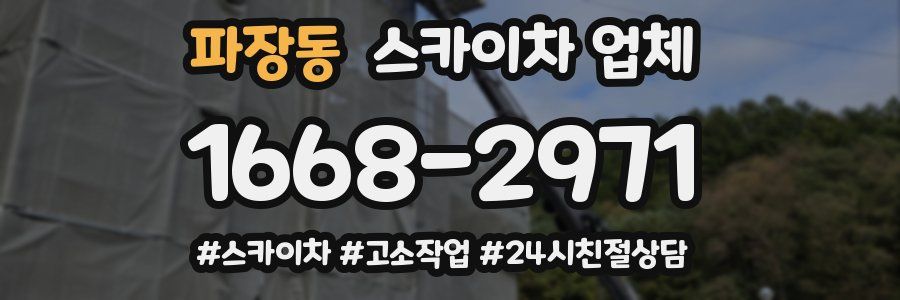파장동 스카이차 업체