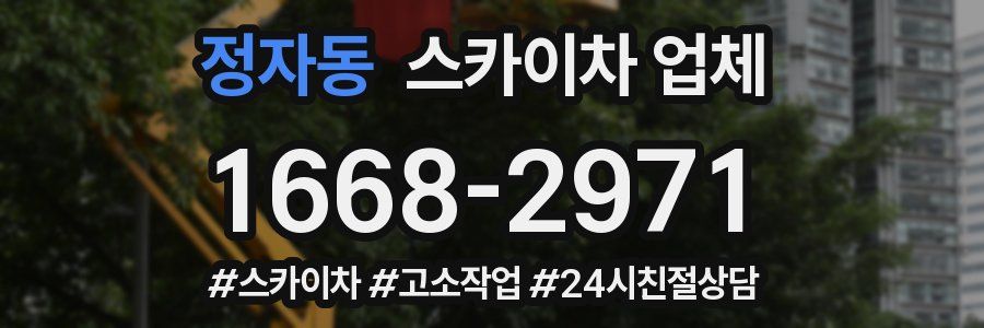 정자동 스카이차 업체