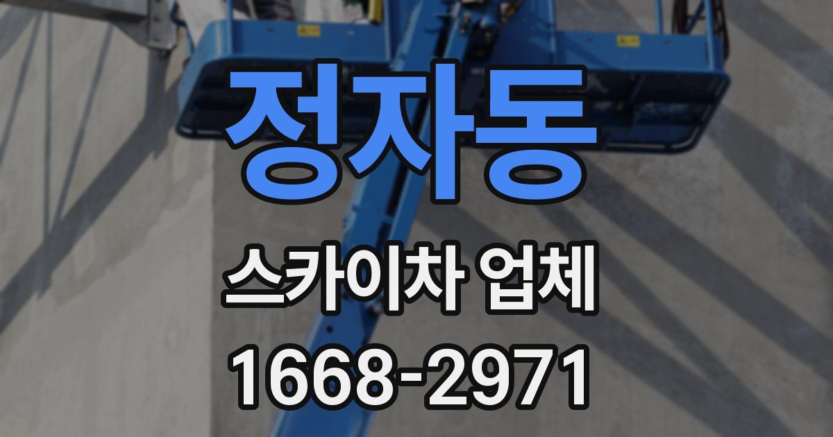 정자동 스카이차 업체