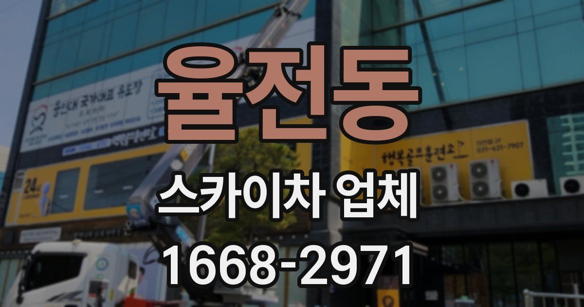 율전동 스카이차 업체
