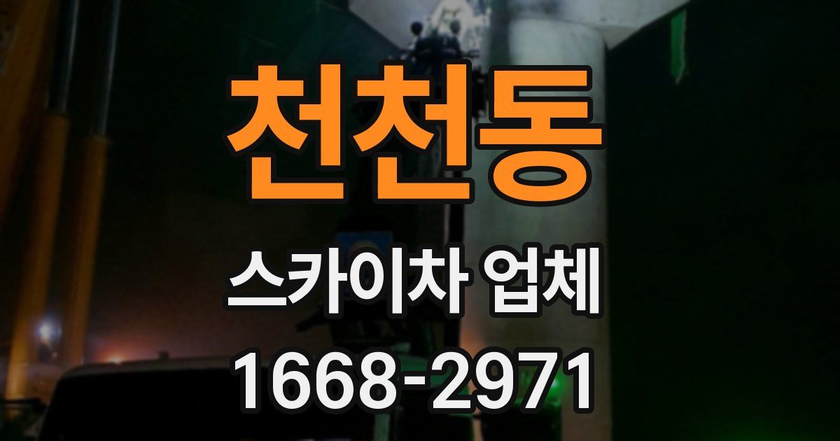 천천동 스카이차 업체