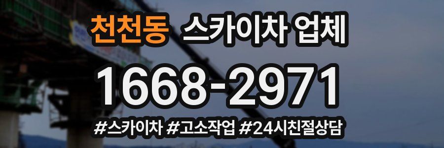 천천동 스카이차 업체