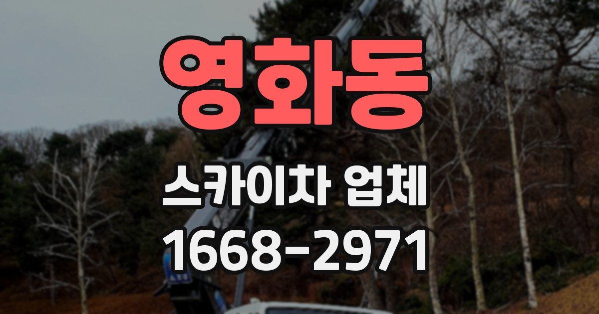 영화동 스카이차 업체