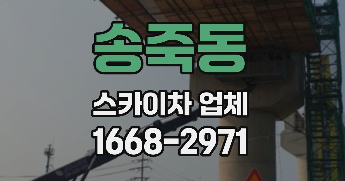 송죽동 스카이차 업체