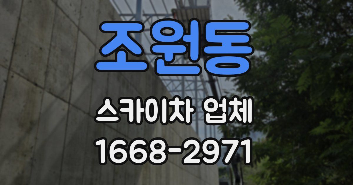 조원동 스카이차 업체