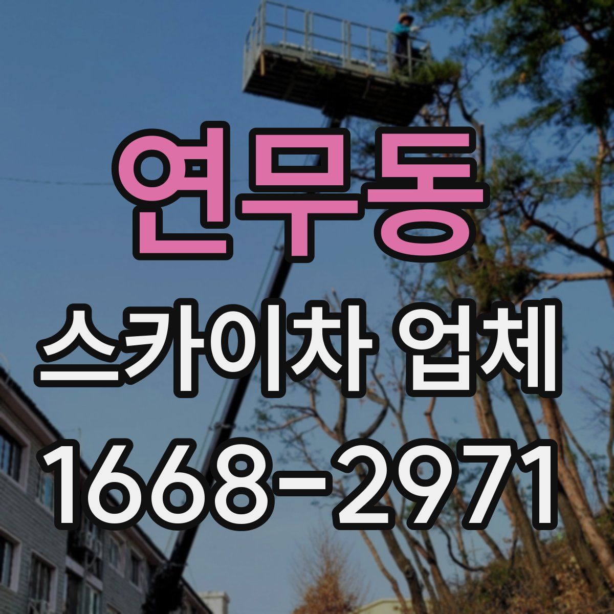 연무동 스카이차 업체
