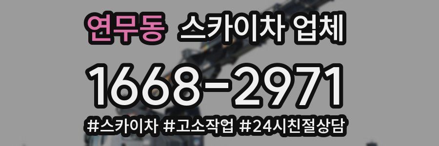 연무동 스카이차 업체