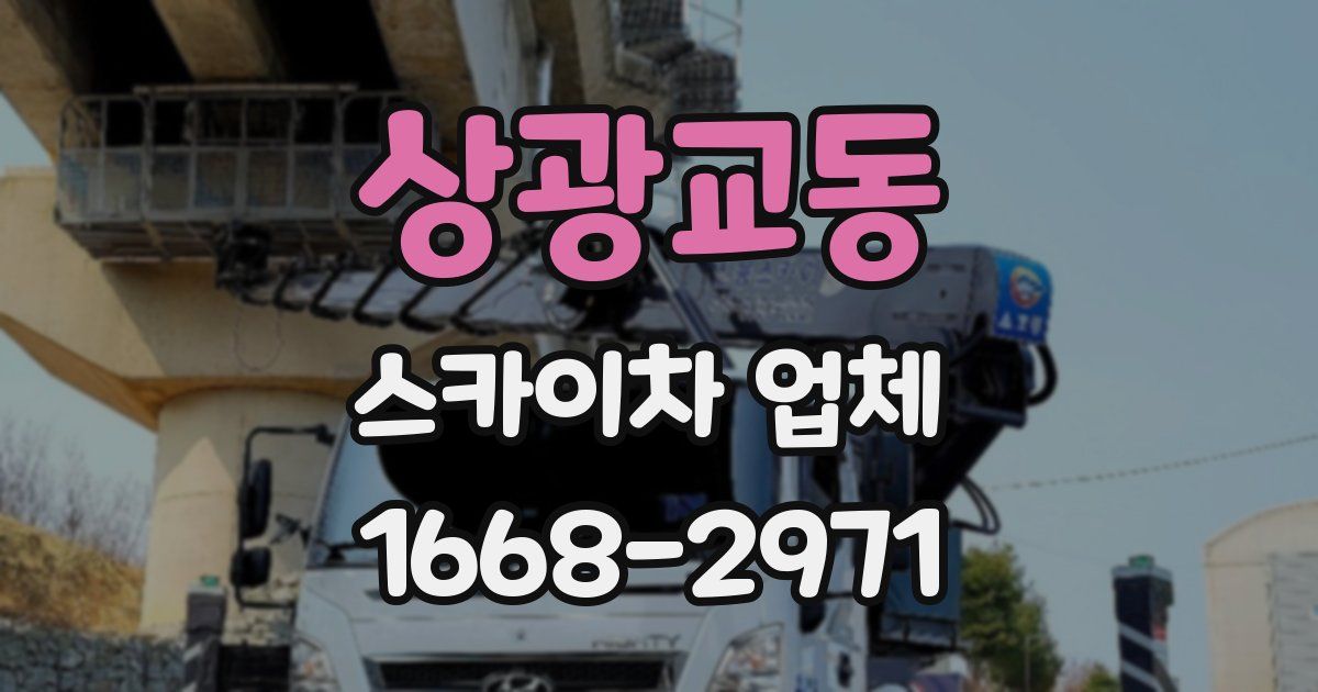 상광교동 스카이차 업체