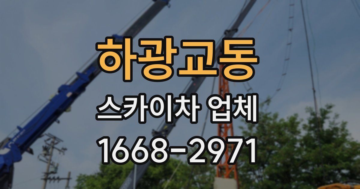 하광교동 스카이차 업체