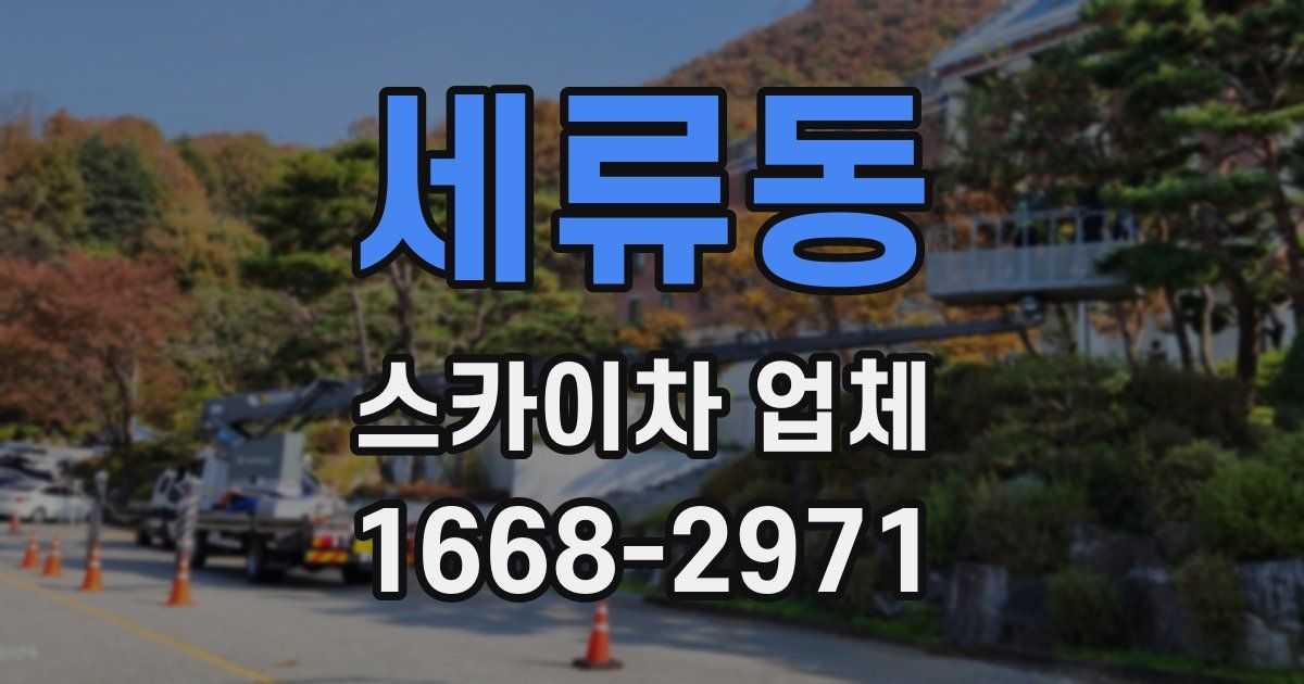 세류동 스카이차 업체