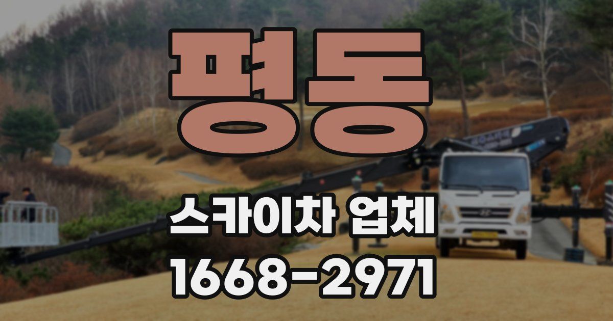 평동 스카이차 업체