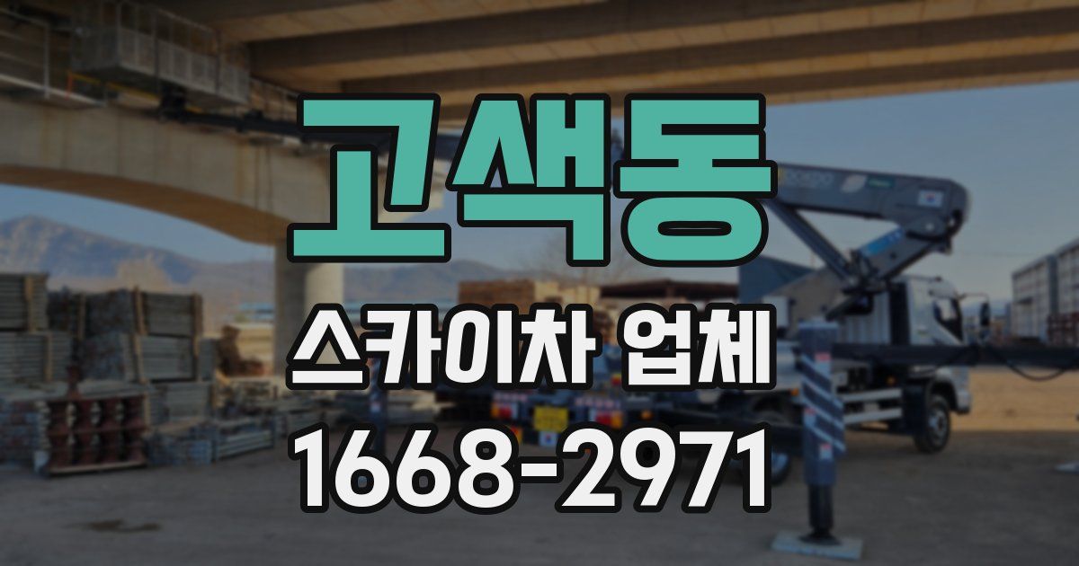 고색동 스카이차 업체
