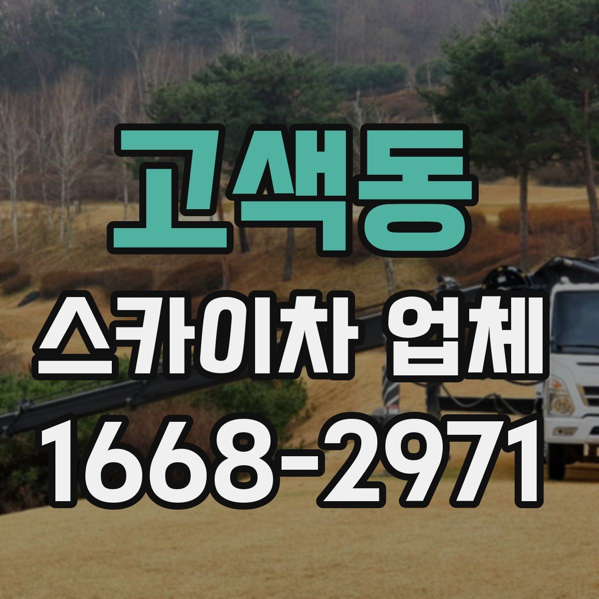 고색동 스카이차 업체