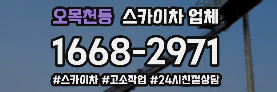 오목천동 스카이차 업체