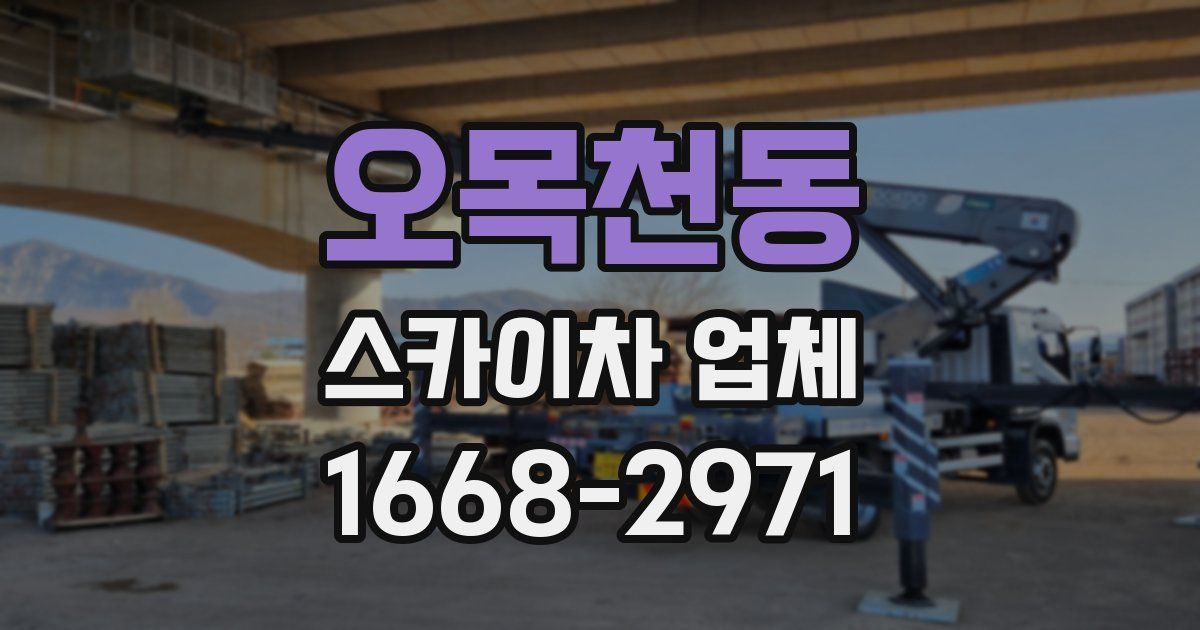 오목천동 스카이차 업체
