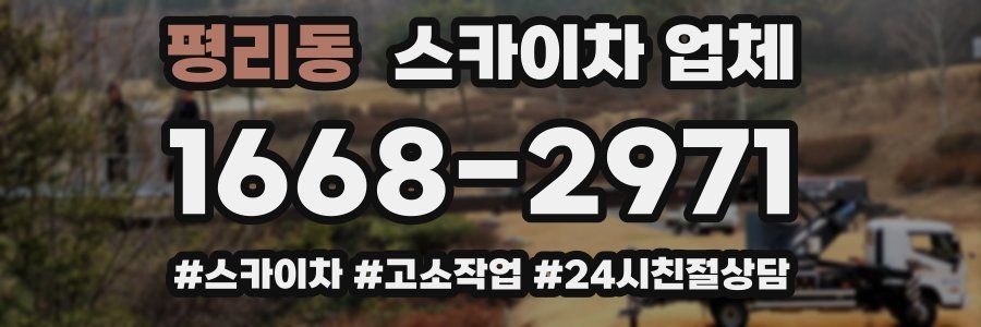 평리동 스카이차 업체
