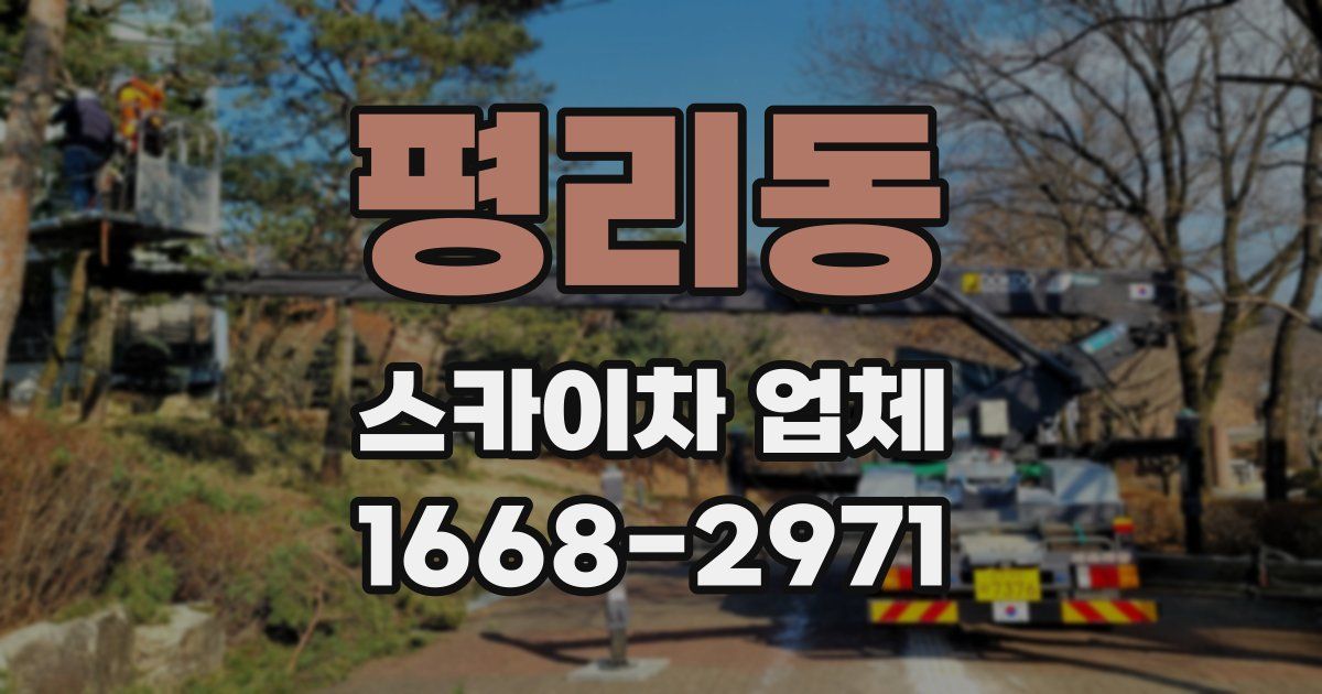 평리동 스카이차 업체