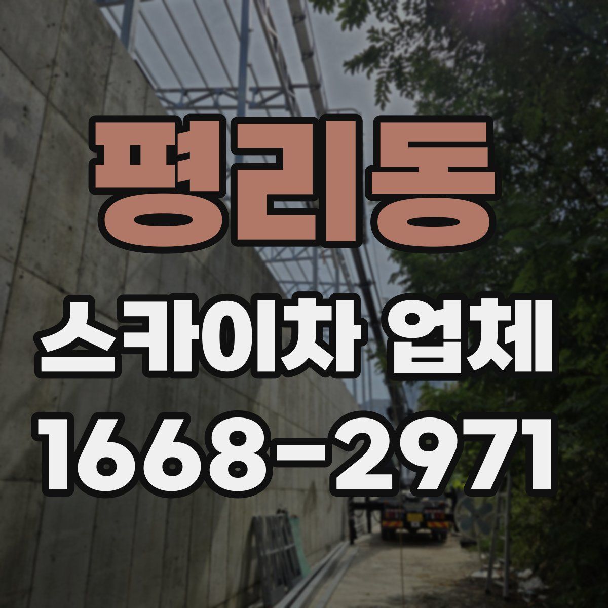 평리동 스카이차 업체