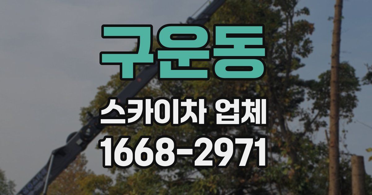 구운동 스카이차 업체