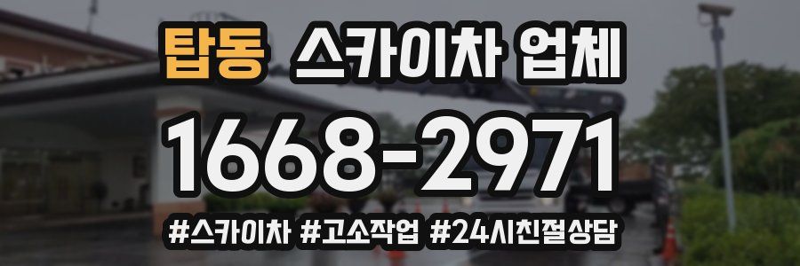 탑동 스카이차 업체
