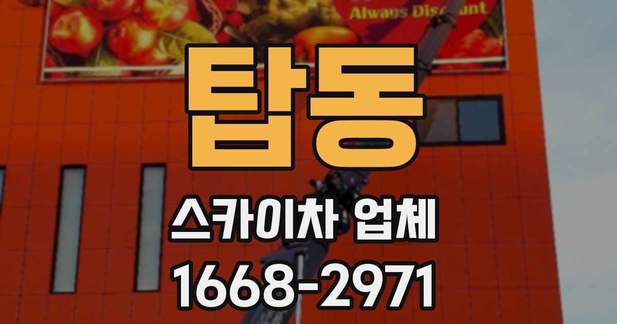 탑동 스카이차 업체