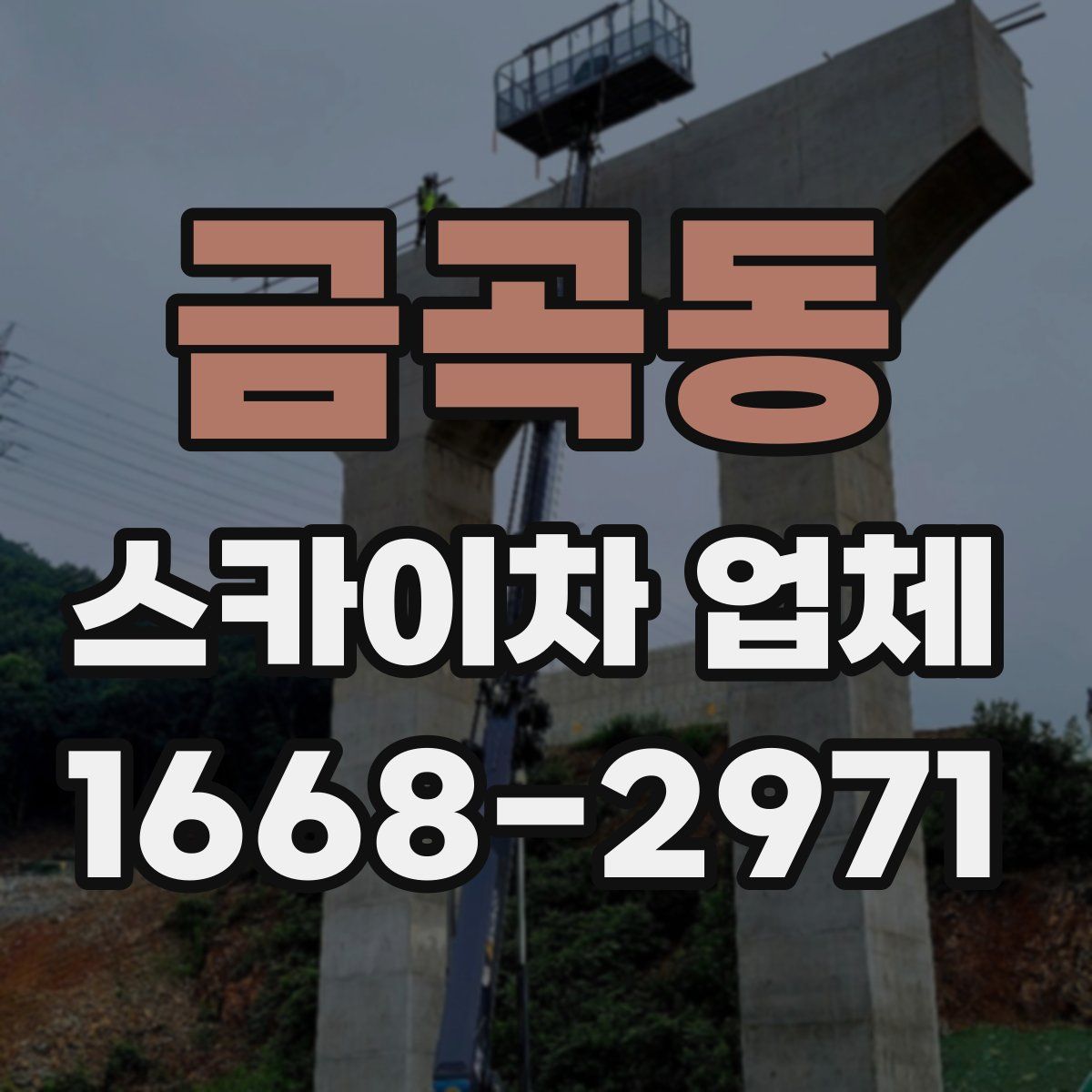 금곡동 스카이차 업체