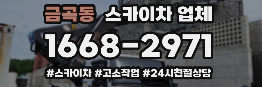 금곡동 스카이차 업체