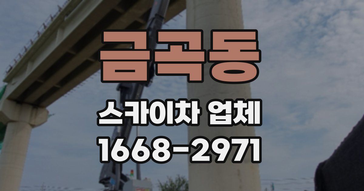 금곡동 스카이차 업체