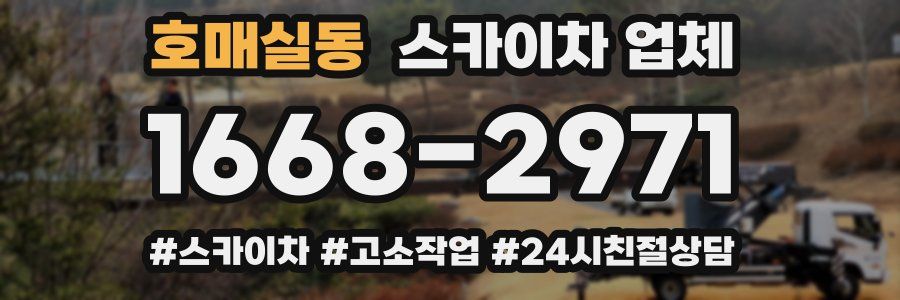 호매실동 스카이차 업체
