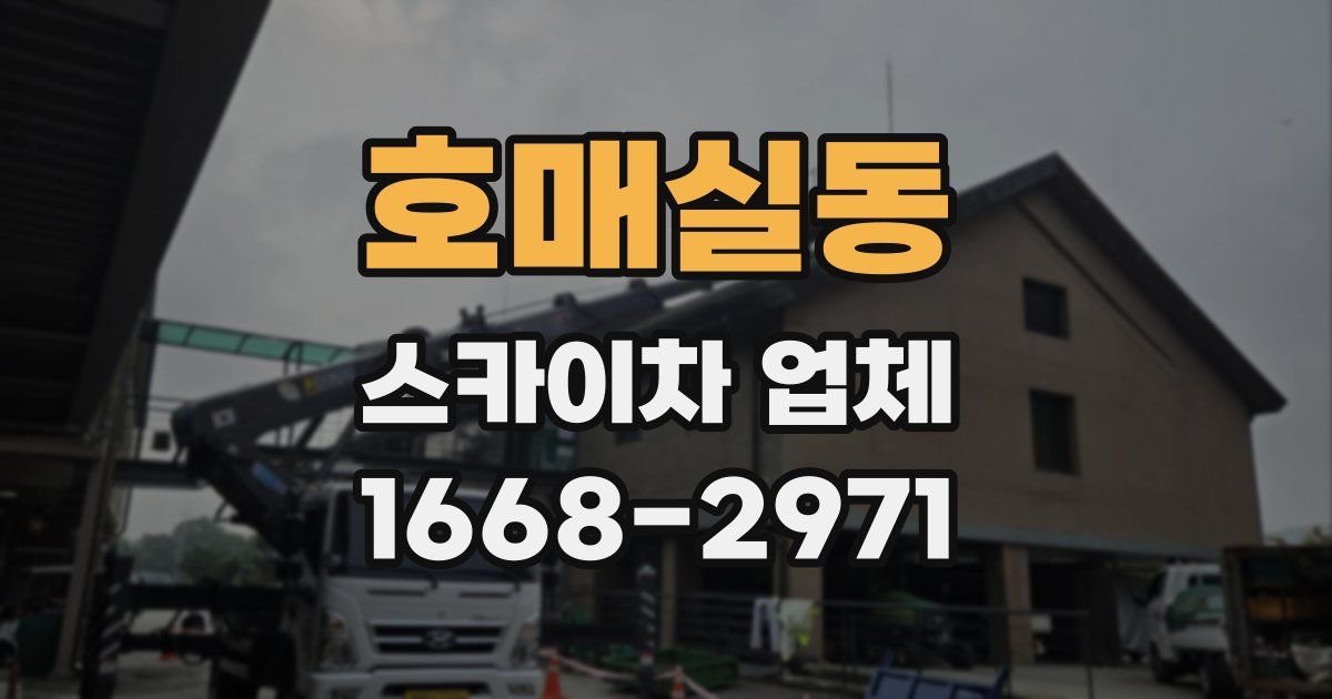 호매실동 스카이차 업체
