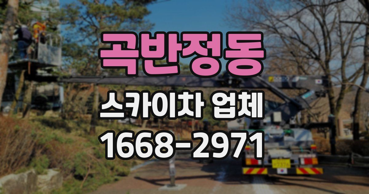 곡반정동 스카이차 업체